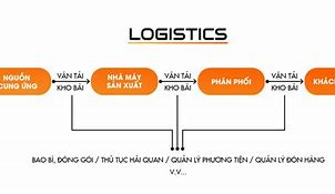 Logistic Học Những Gì