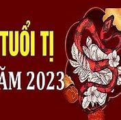 Xem Tử Vi Tuổi Quý Tỵ Năm 2023